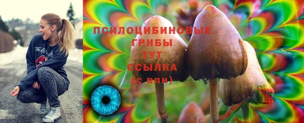 ПСИЛОЦИБИНОВЫЕ ГРИБЫ Магадан