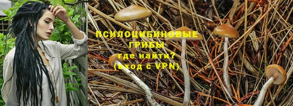 ПСИЛОЦИБИНОВЫЕ ГРИБЫ Магадан