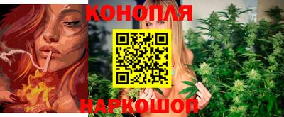 прущие крисы Аргун