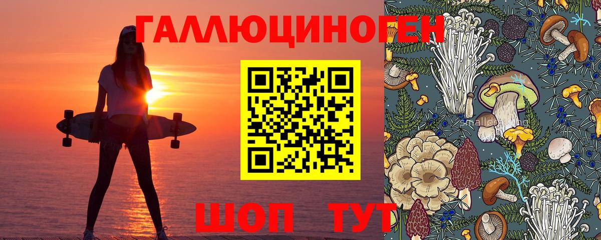 Балашиха  Псилоцибиновые грибы Psilocybe  Псилоцибиновые грибы Magic Shrooms  Вход с VPN 