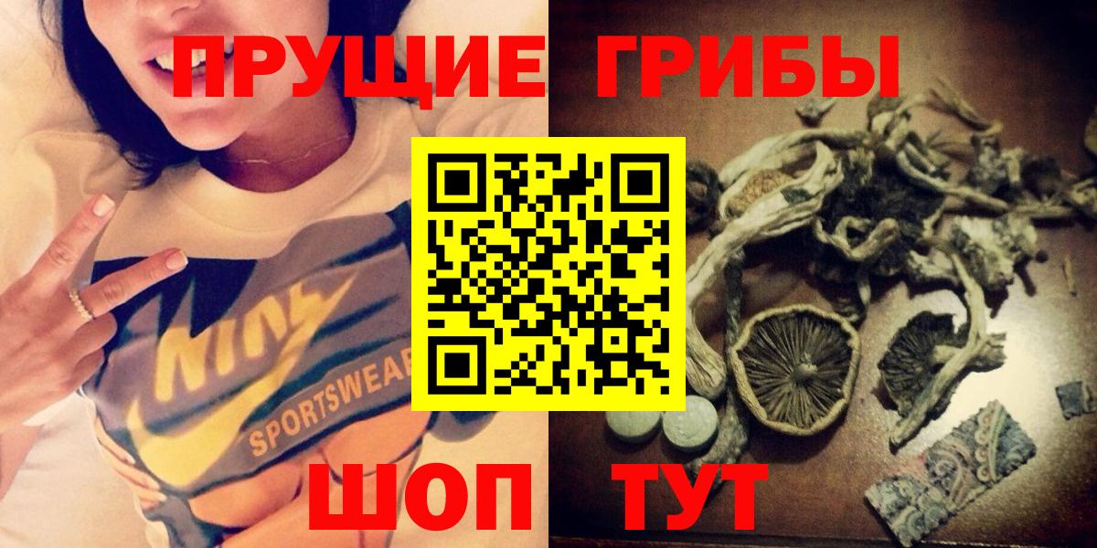Псилоцибиновые грибы Psilocybe Балашиха