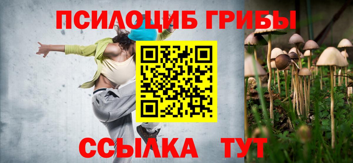 Галлюциногенные грибы Psilocybine cubensis Балашиха