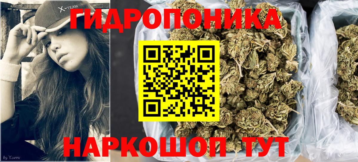 Бошки Шишки THC 21%  Балашиха  Бошки марихуана конопля  Бошки Шишки LSD WEED  Конопля индика 